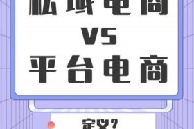 什么是电商平台？；什么是电商平台？为什么这么多人选择做这家？