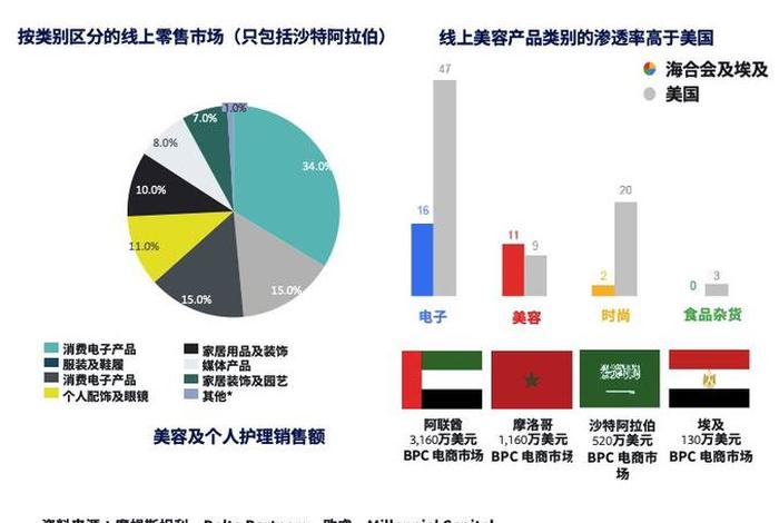 中东跨境电商发展概况、中东跨境电商发展概况介绍