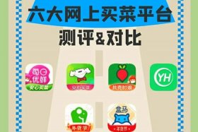 上海回应市民在电商平台买不到菜怎么办 上海买菜的电商平台