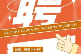 青岛电商运营招聘网、青岛电商运营招聘网站