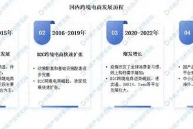 中国跨境电商发展报告2024 - 中国跨境电商发展报告2024年