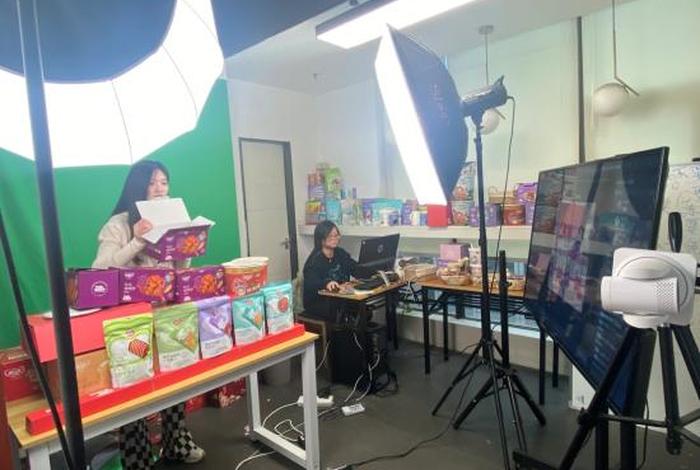 毛毛虫电商创始人 毛毛虫电商公司