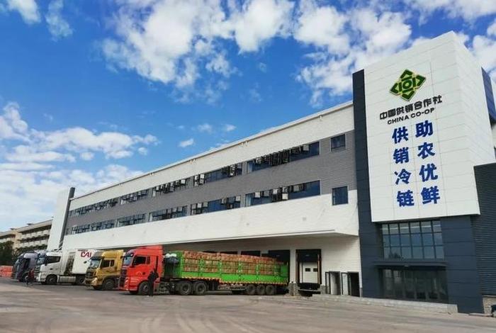 供销社电商主要做什么的(供销社电商主要做什么的工作) 供销社电商主要做什么的(供销社电商主要做什么的工作)