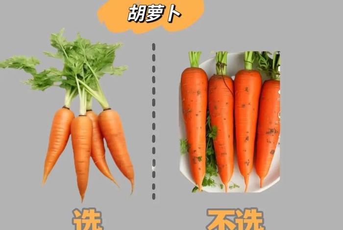 蔬菜电商怎么做、蔬菜电商怎么做新手入门教程 蔬菜电商怎么做、蔬菜电商怎么做新手入门教程