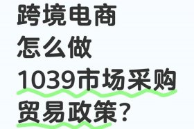 个人怎样做跨境电商进口（个人怎样做跨境电商进口贸易）