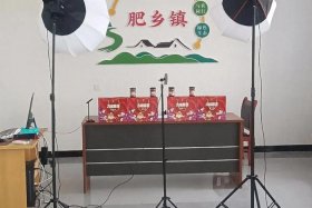 武汉电商平台直播基地，武汉电商平台直播基地在哪
