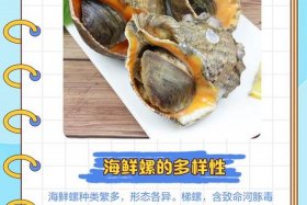 海螺电商平台官网、海螺电商平台官网下载