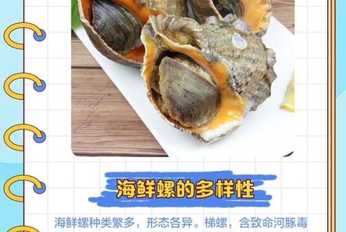 海螺电商平台官网、海螺电商平台官网下载