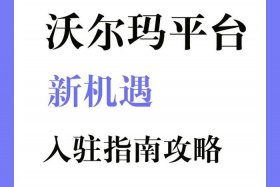 沃尔玛电商平台美国站 沃尔玛电商平台美国站贷款可靠吗