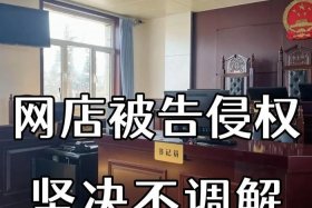 电商侵权产品专利按销量赔偿吗 - 网店专利侵权赔偿