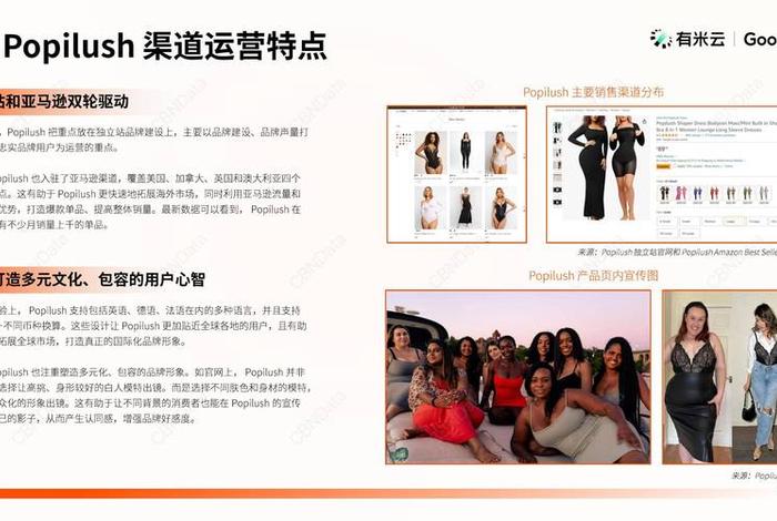 独立站卖家、独立站卖家排名