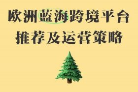 欧洲哪个跨境电商平台可以进驻 - 欧洲哪个跨境电商平台可以进驻美国