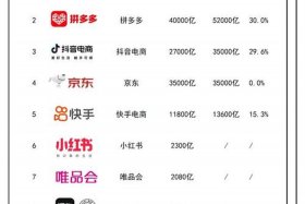 中国第一大电商公司、中国第一大电商公司排名