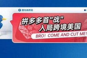 拼多多海外跨境电商app中文版下载；拼多多海外跨境电商app中文版下载安装