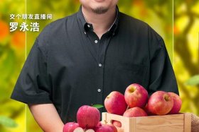 罗永浩做电商带货 - 罗永浩做电商带货怎么样