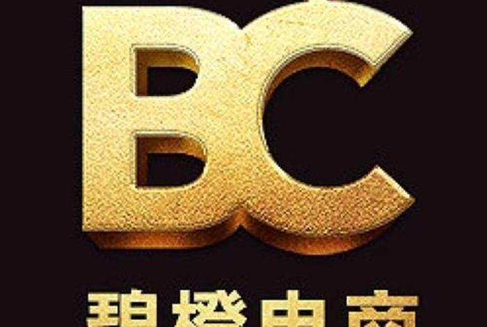 碧橙电商是做什么的，碧橙电商是做什么的啊