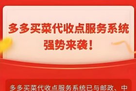 多多电商最新消息（多多电子商务有限公司）