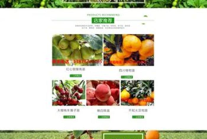 农业电商平台的水果,适合果农卖水果的电商平台 农业电商平台的水果,适合果农卖水果的电商平台