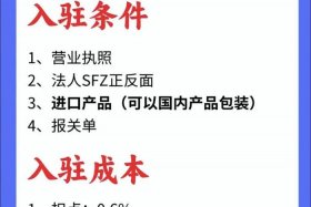 电商入驻条件及费用，拼多多跨境电商入驻条件及费用