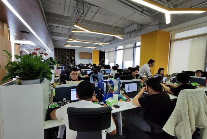 电商服务商公司;电商服务平台公司 电商服务商公司;电商服务平台公司