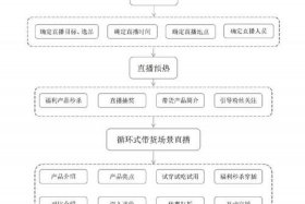 企业电商带货、企业电商带货流程