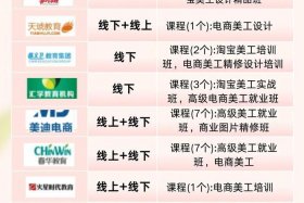 电商培训最出名的机构（电商培训最出名的机构有哪些）