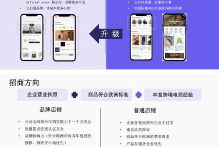 欧洲电子商务网站 - 欧洲电子商务网站是什么 欧洲电子商务网站 - 欧洲电子商务网站是什么