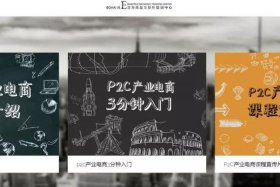 p2c产业电商（p2c产业电商什么意思）