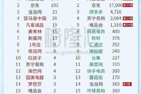 中国十大电商平台排名前十名 中国十大电商平台排名前十名有哪些