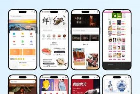 免费自学电商教程!、免费自学电商教程那个网站有