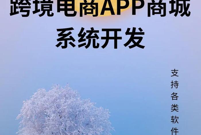 跨境电商采购(跨境电商采购软件) 跨境电商采购(跨境电商采购软件)