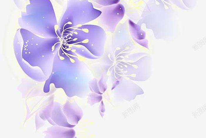 电商平面设计素材 - 电商平面设计素材图片 电商平面设计素材 - 电商平面设计素材图片