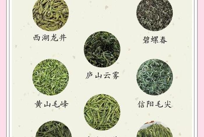 茶叶电商排名 - 电商茶叶销量排行榜前十名 茶叶电商排名 - 电商茶叶销量排行榜前十名