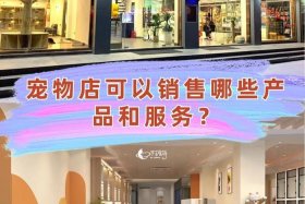 宠物用品电商公司 - 宠物用品电商公司怎么样