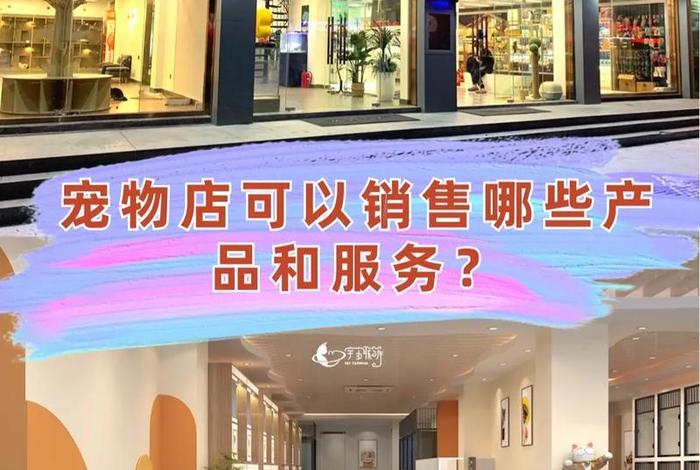 宠物用品电商公司 - 宠物用品电商公司怎么样 宠物用品电商公司 - 宠物用品电商公司怎么样