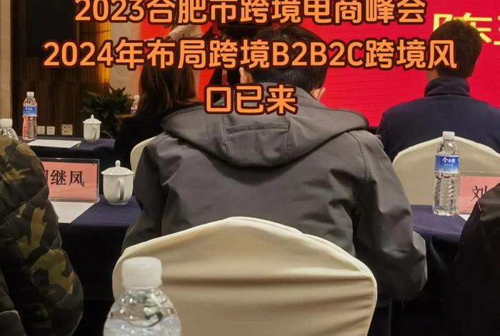 合肥电商公司有哪些(合肥电商公司有哪些公司) 合肥电商公司有哪些(合肥电商公司有哪些公司)