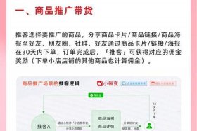 微信电商推客 - 微信电商推客是什么意思