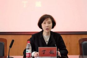 宏商电气有限公司丁越 宏商电气有限公司丁越简介