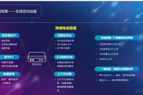 dny123跨境电商入驻（跨境电商1239模式）