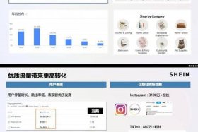 shein跨境电商营销策略；跨境电商网络营销策略