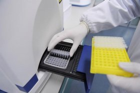 100个电脑病毒样本下载蓝奏云（电脑病毒样本下载网站）