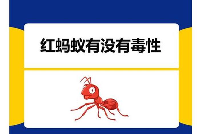 红蚁电商,红蚂蚁电商平台 红蚁电商,红蚂蚁电商平台