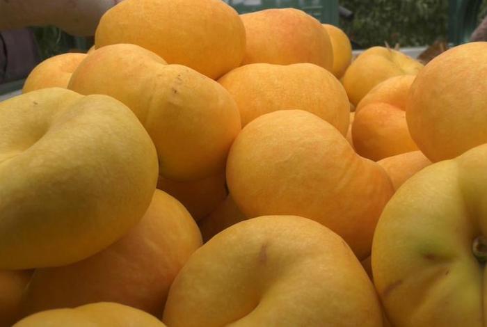 桃子电商平台电话 - 桃子电商平台电话是多少 桃子电商平台电话 - 桃子电商平台电话是多少