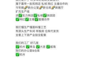 供应链电商项目介绍（供应链电商项目介绍怎么写）