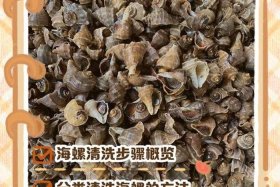 海螺电商平台进不去怎么办；海螺电商平台进不去怎么办呢