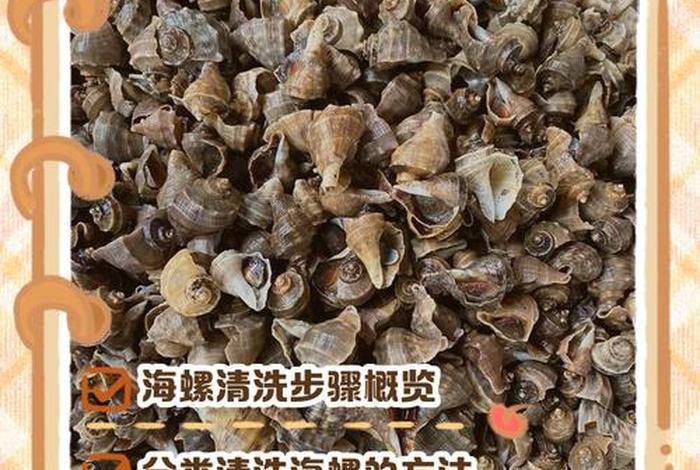 海螺电商平台进不去怎么办；海螺电商平台进不去怎么办呢