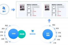 做电商软件服务业务是什么，做电商软件服务业务是什么行业