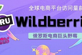 俄罗斯跨境电商wb、俄罗斯跨境电商wildberries