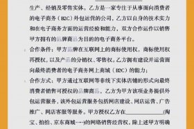 电商外包运营是干嘛的、电商外包运营是干嘛的啊