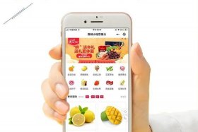 app电商平台小程序名称大全、app电商平台小程序名称大全图片